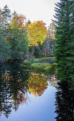 Fall Wall Art featuring the photograph Adirondacks Autumn At Lewey Lake Reflection by Ron Long Ltd Photography