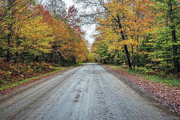 Tranquil Wall Art featuring the photograph Adirondacks Autumn At Little Tupper Lake by Ron Long Ltd Photography