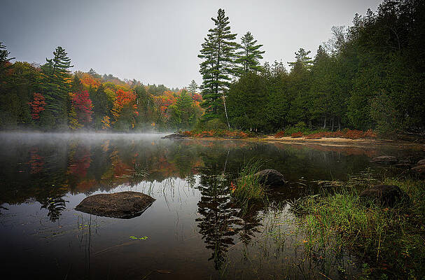 Tranquil Wall Art featuring the photograph Adirondacks Autumn At Rich Lake 2 by Ron Long Ltd Photography