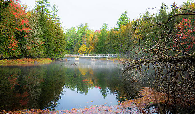 Tranquil Wall Art featuring the photograph Adirondacks Autumn At Rich Lake 6 by Ron Long Ltd Photography