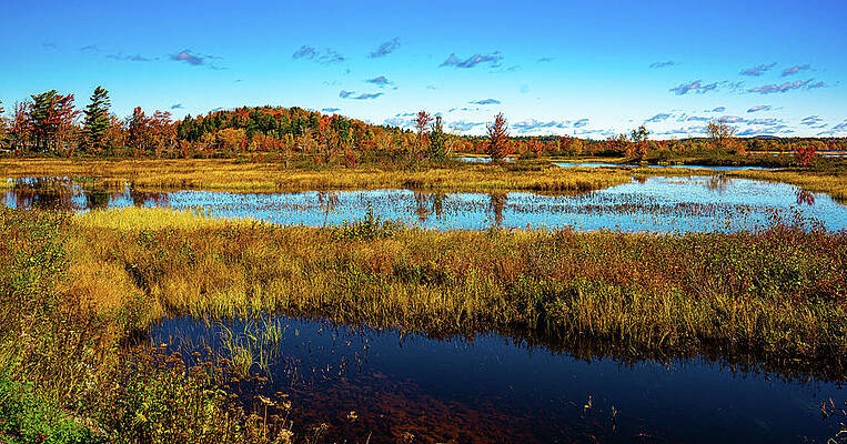 Tranquil Wall Art featuring the photograph Adirondacks Autumn At Tupper Lake 7 by Ron Long Ltd Photography