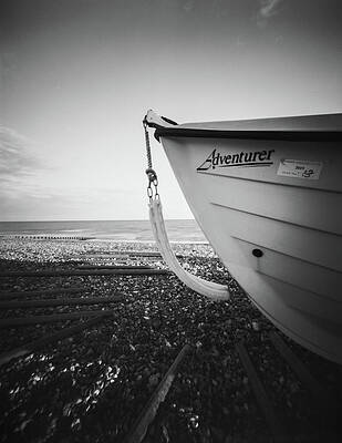 Photograph - Adventurer by Will Gudgeon