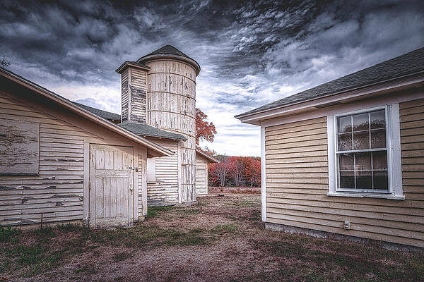 Wall Art featuring the photograph Adventures At Laudholm by Penny Polakoff