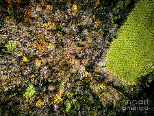 Foliage Photograph - Aerial View Of Field In Addison County, Vermont by Eric Killorin