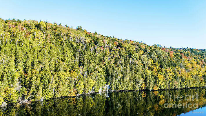 Water Wall Art featuring the photograph Aerial View Of Lake Eligo In Craftsbury, Vermont by Eric Killorin