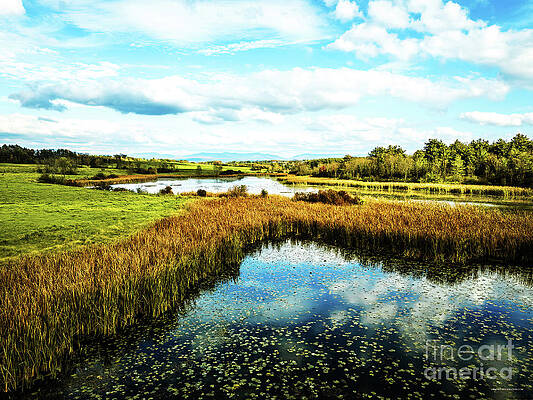 Water Wall Art featuring the photograph Aerial View Swamp In Shoreham, Vermont by Eric Killorin