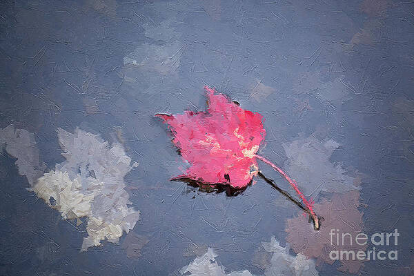 Wall Art featuring the digital art Afloat - Autumn Leaf by Rehna George