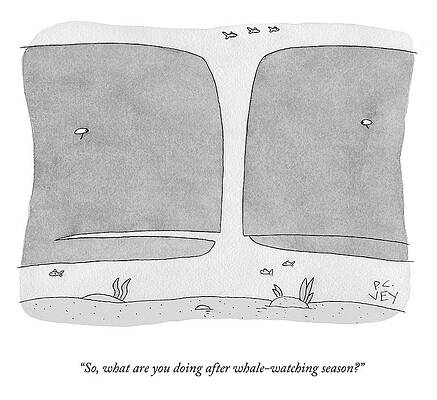 Future Drawing - After Whale Watching Season by Peter C Vey