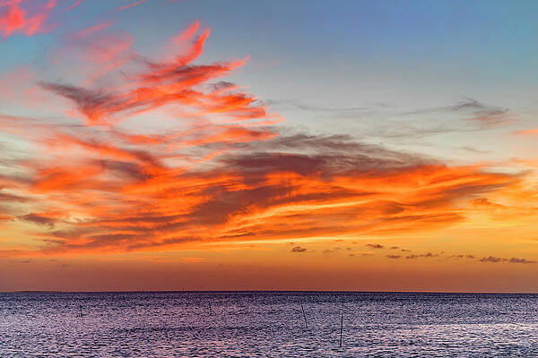Nature Wall Art featuring the photograph Afterglow by Kelley King