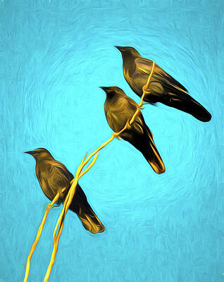 Wall Art featuring the photograph Afternoon In The Sun by Rebecca Herranen