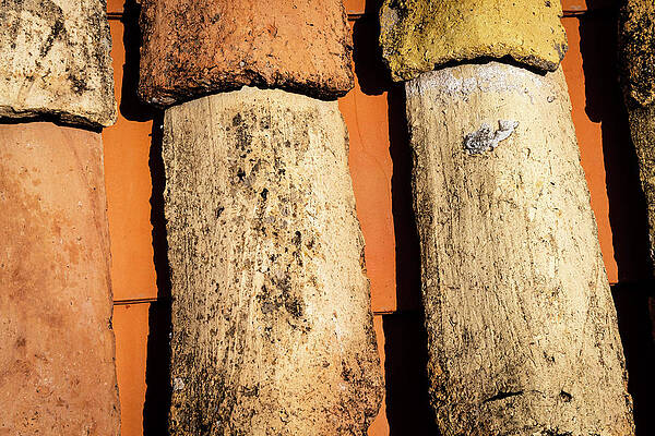 Reflection Wall Art featuring the photograph Aged Croatian Roof Tiles by Craig A Walker