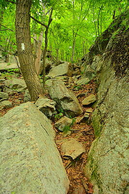 Wilderness Wall Art featuring the photograph Agony Grind 3 by Raymond Salani III
