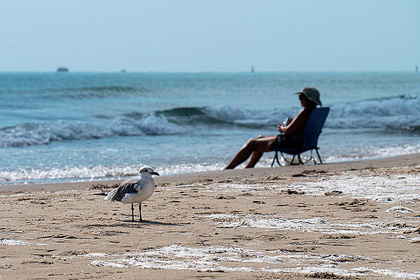 Sky Wall Art featuring the photograph Ahh.. The Beach by Steve Templeton
