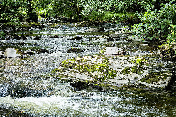 Photograph - Aira Beck, In The Lake District by Francisco Ruiz Navas