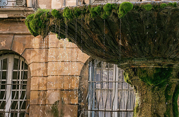 Wall Art featuring the photograph Aix-en-Provence 2 by Lisa Chorny