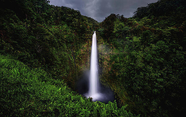 United States Wall Art featuring the photograph Akaka Falls - Big Island, Hawaii by Abbie Warnock