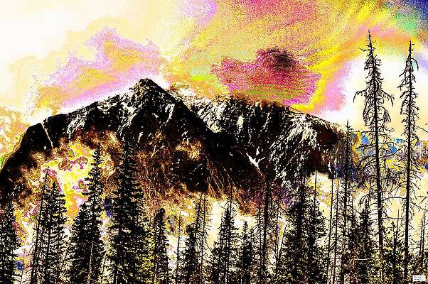 Al- Still Have Home by Alex John Bergerman