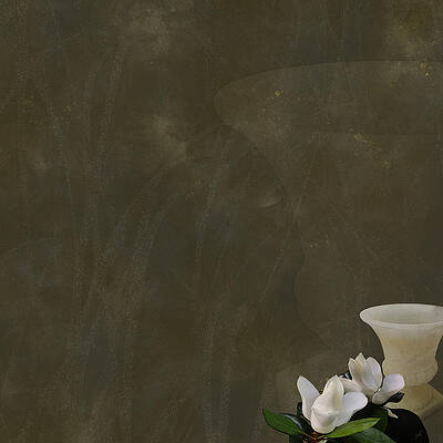 Still Life Wall Art featuring the photograph Alabaster by Gina Harrison