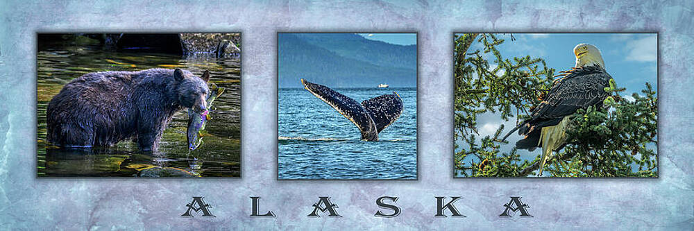 Wildlife Photograph - Alaska by Maryanne Keeling