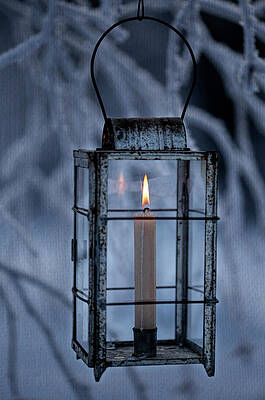 Wall Art featuring the photograph Alaskan Light by Fred Denner