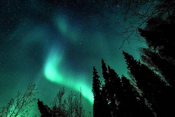 Natural Photograph - Alaskan Night Sky by David Morefield