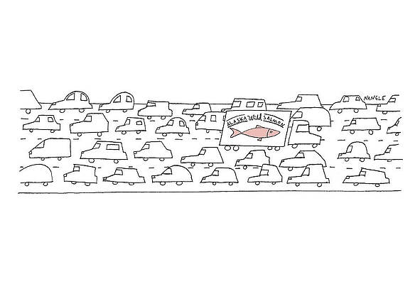 Drive Drawing - Alaskan Wild Salmon by Jared Nangle