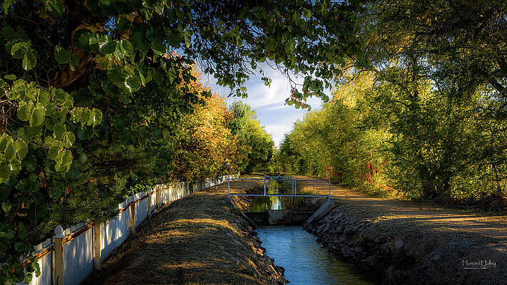 Wall Art featuring the photograph Albuquerque North Valley Acequia by Howard Holley
