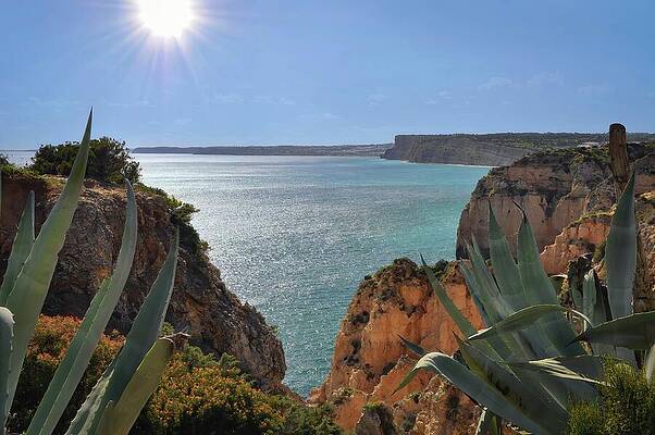 Wall Art featuring the photograph Algarve Portugal Cliffs Over The Atlantic Ocean by Rebecca Herranen