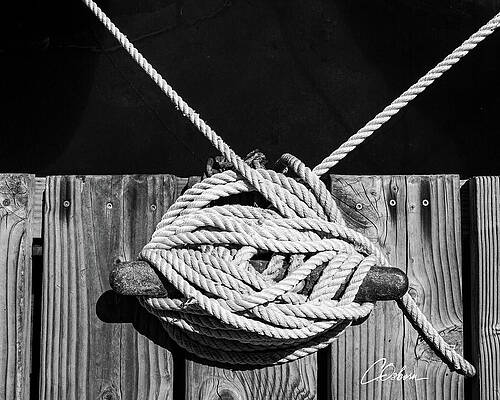 Photograph - All Tied Up by Charlie Osborn