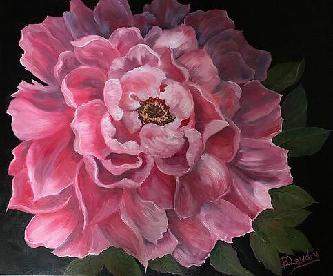 Wall Art featuring the painting Alla Prima Peony by Barbara Landry
