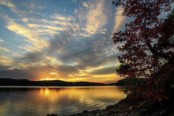 Vibrant Photograph - Allatoona Sunrise by Anthony Hightower