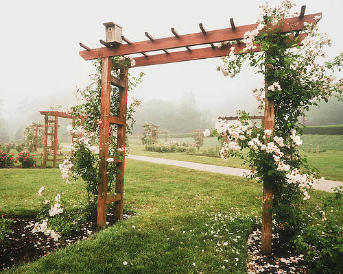 Pennsylvania Wall Art featuring the photograph Allentown Rose Gardens Row Of Arbors by Jason Fink