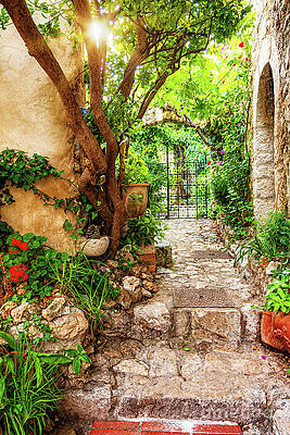 Wall Art featuring the photograph Alley With Flowers - Eze, Provence by Tatiana Travelways