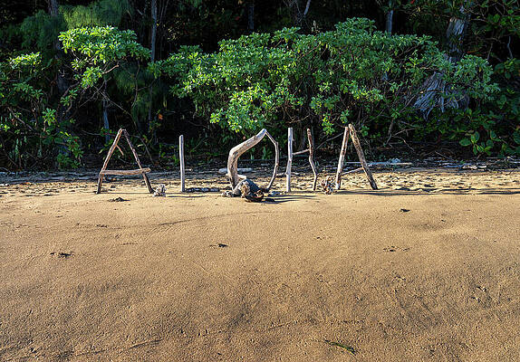 Wall Art featuring the photograph Aloha From Kauai Driftwood Greeting Spells Out A Warm Welcome by Steven Heap