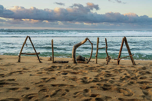 Wall Art featuring the photograph Aloha From Kauai With A Driftwood Greeting Spells Out A Warm Welcome by Steven Heap