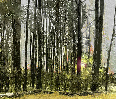 Nature Wall Art featuring the digital art Along A Rock Wall by Gina Harrison