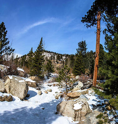 Colorado Photograph - Along Alluvial Fan In Winter by Douglas Wielfaert