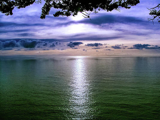 California Wall Art featuring the photograph Along Pacific Coast Highway Big Sur California by Tommy Farnsworth
