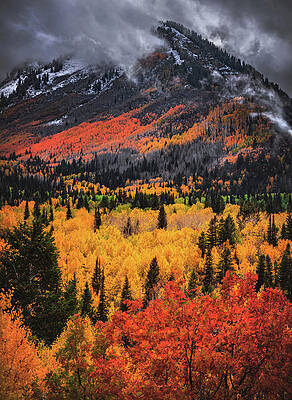 Canyon Photograph - Alpine Loop Aspens And Mount Timpanogos, Utah - Vertical by Abbie Warnock
