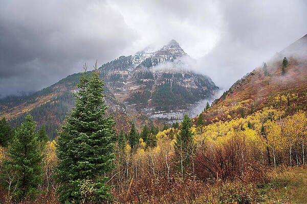 Utah Wall Art featuring the photograph Alpine Loop Scenic Byway-2 by Diane Moller