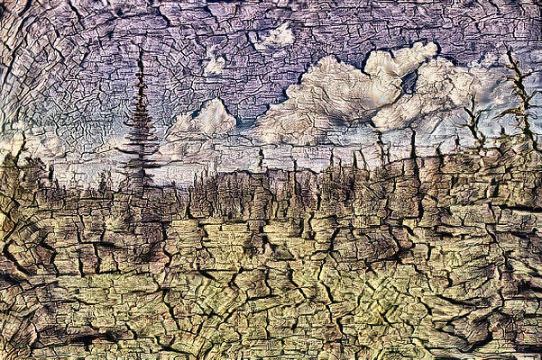 Summer Photograph - Alpine Meadow In Summer by Bruce Block