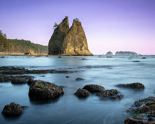 Photograph - Always At Your Side by Matt Halvorson