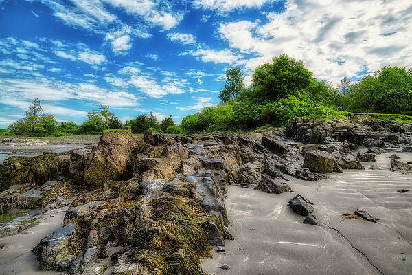 Wall Art featuring the photograph Amazing Clouds by Penny Polakoff