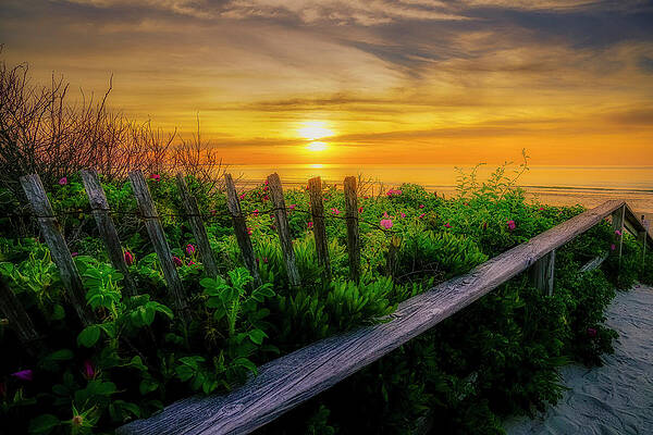 Maine Wall Art featuring the photograph Amazing Sunrise by Penny Polakoff