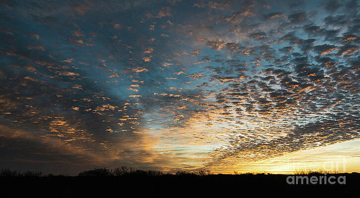 Texas Wall Art featuring the photograph Amazing Texas Sunrise by Ron Long Ltd Photography