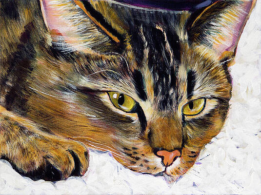Tabby Cat Resting on White Blanket Wall Art
