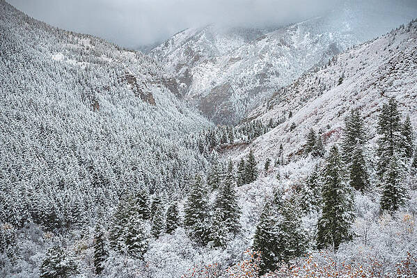 American Photograph - American Fork Canyon Snow, Utah by Abbie Warnock
