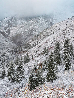 American Photograph - American Fork Canyon Snow, Utah - Vertical by Abbie Warnock