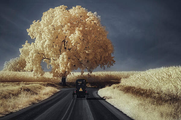 Pennsylvania Photograph - Amish Country Lancaster PA SC by Susan Candelario