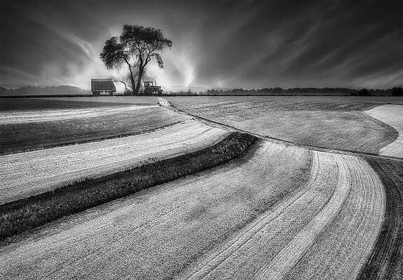 Country Photograph - Amish Country PA BW by Susan Candelario